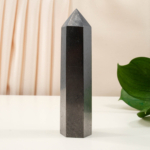 Shungite (Şungit) Doğal Taş Obelisk Parça