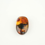 Orijinal Kehribar Doğal Taş Ham Parça - Görsel 3