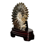 Orijinal Ammonite Taşı Stantlı Obje - Görsel 3