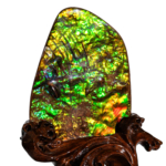 Ammonite Boudrial Opal Ham Parça - Görsel 5